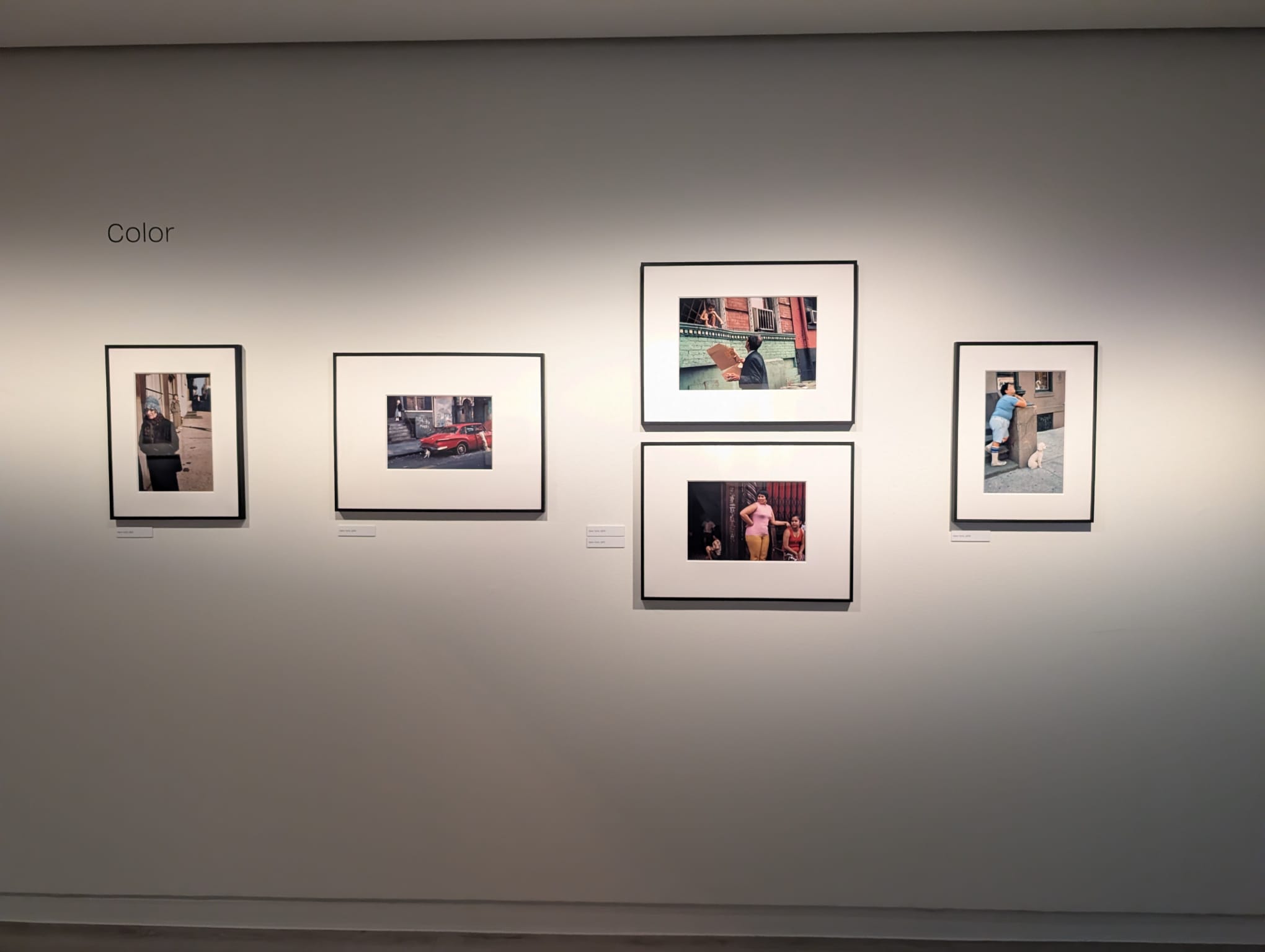 WhatsApp Image 2026 03 25 at 15.04.58 9